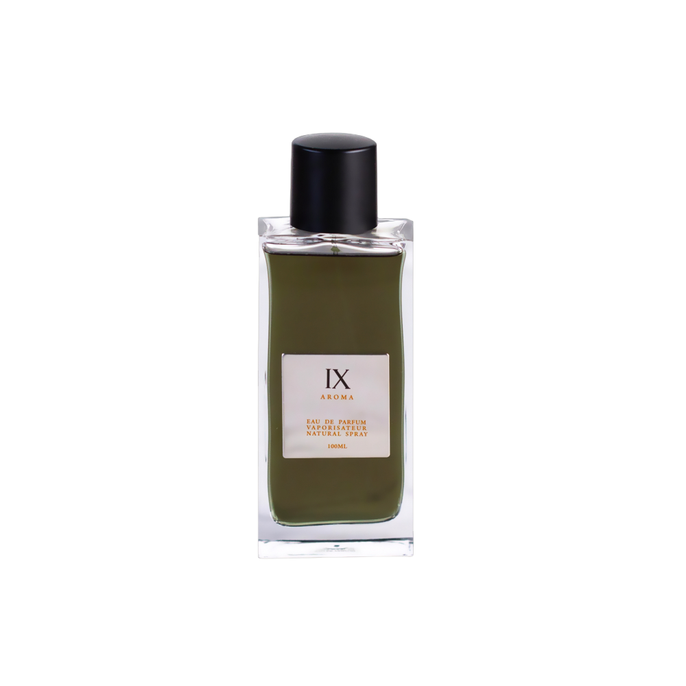 Aurora Scents, Aroma IX, Apă de parfum, Pentru bărbați, 100 ml