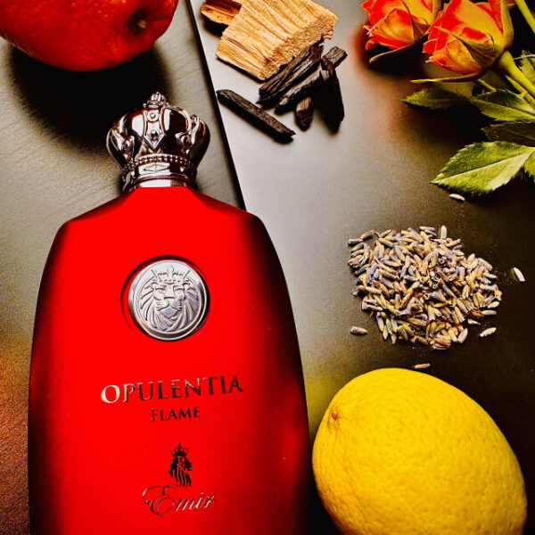 Emir, Opulentia Flame, Apă de parfum, Pentru bărbați, 100 ml