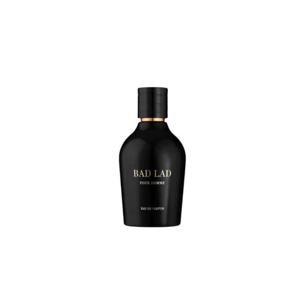 Fragrance World, Bad Lad, Apă de parfum, Pentru bărbați, 100 ml