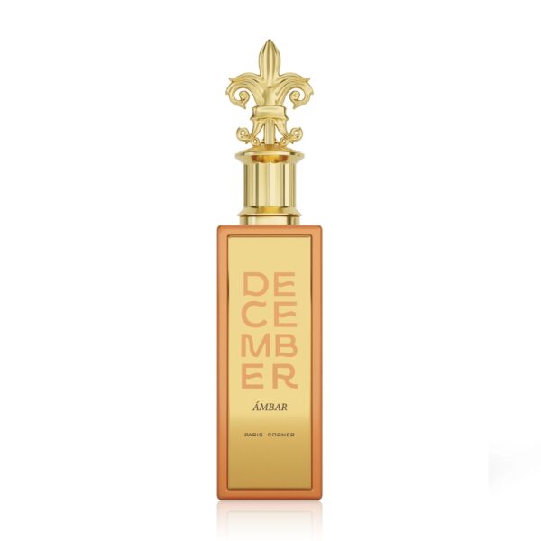 Paris Corner, December Ambar, Apă de parfum, Unisex, 100 ml
