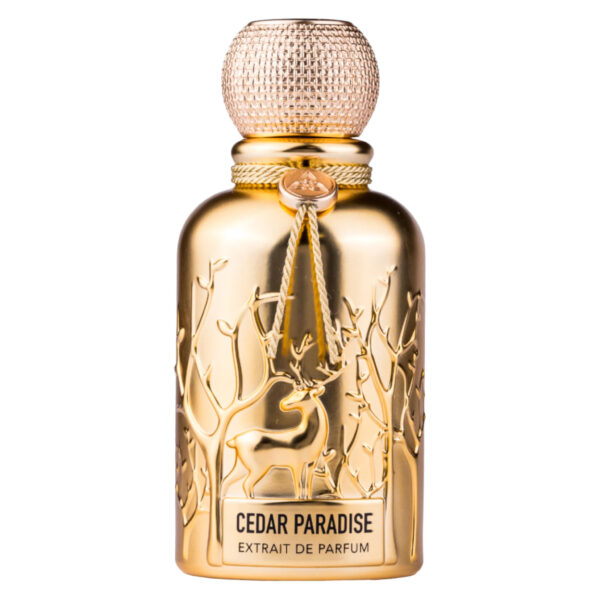 Auraa Desire, Cedar Paradise, Extract de parfum, Pentru bărbați, 100 ml